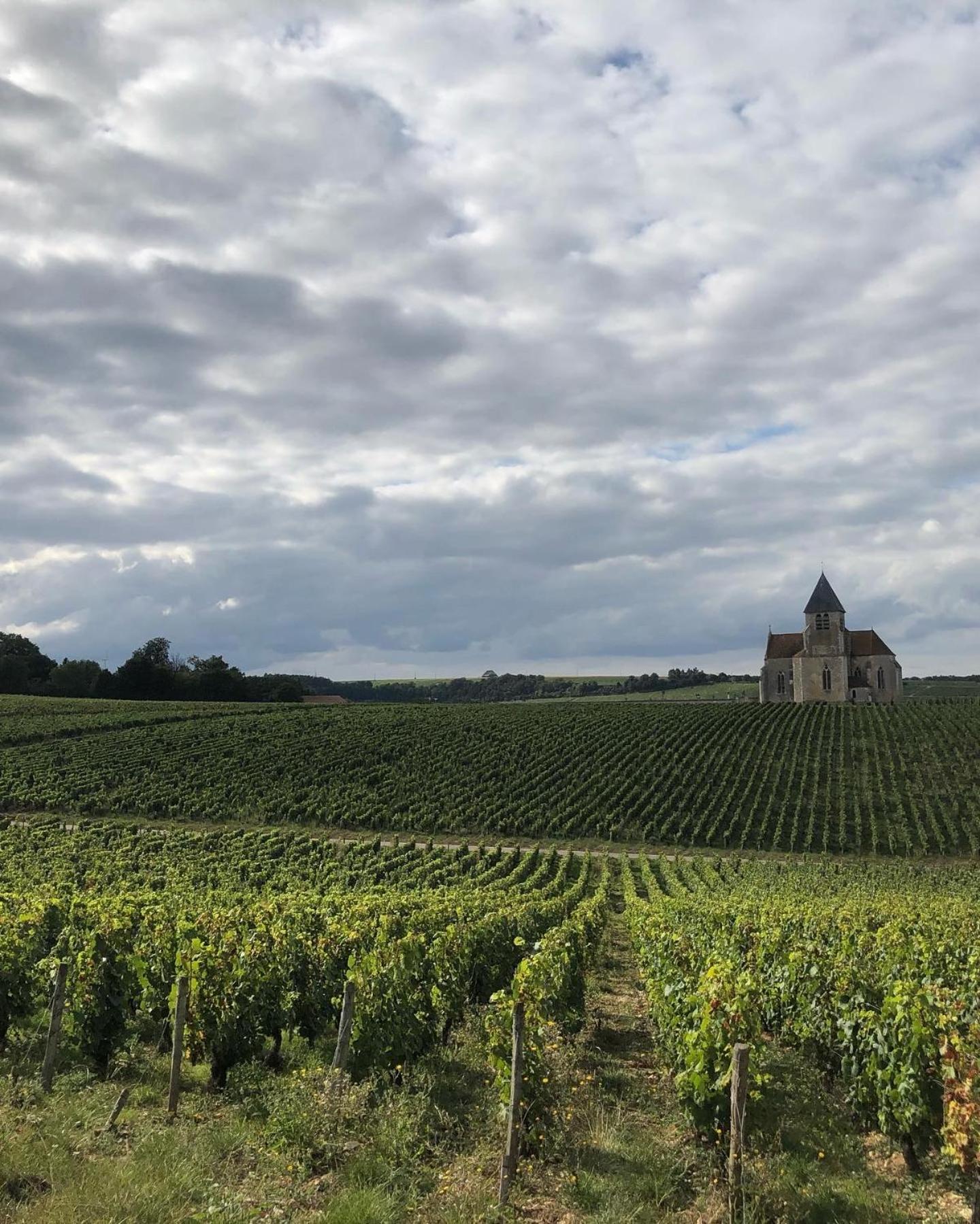 Maison De Pauline, Chablis Vineyard Préhy Habitación foto